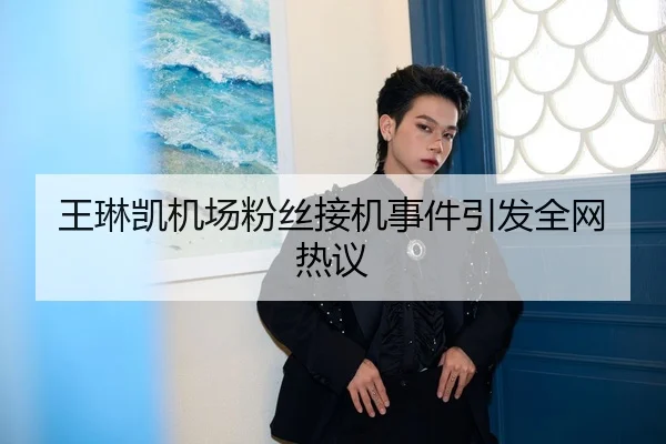 王琳凯机场粉丝接机事件引发全网热议